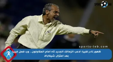 ظهور نادر لفيرا: لاعب الزمالك الجديد تاه أمام المقاولون.. ورد فعل فييرا بعد اعتزال شيكابالا